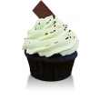 Rich chocolate mint cake with mint buttercream and a chocolate mint garnish