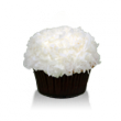 Moist chocolate cake with coconut cream cheese icing all smothered in shredded coconut