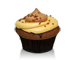 Chocolate Peanut Butter